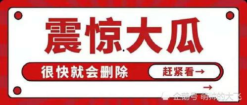 娱乐圈8卦吃瓜是谁说的,揭秘“吃瓜”背后的神秘推手
