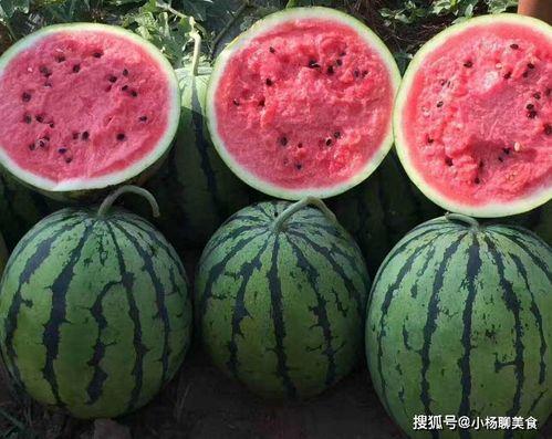 娱乐吃瓜酱碗为什么不碎,揭秘“娱乐吃瓜酱碗不碎”背后的神奇现象 第2张 娱乐吃瓜酱碗为什么不碎,揭秘“娱乐吃瓜酱碗不碎”背后的神奇现象 第2张