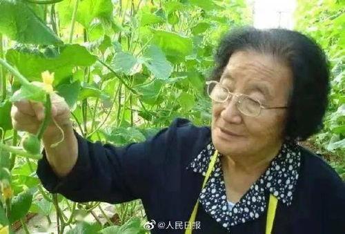 娱乐吃瓜酱碗为什么不碎,揭秘“娱乐吃瓜酱碗不碎”背后的神奇现象 第3张 娱乐吃瓜酱碗为什么不碎,揭秘“娱乐吃瓜酱碗不碎”背后的神奇现象 第3张