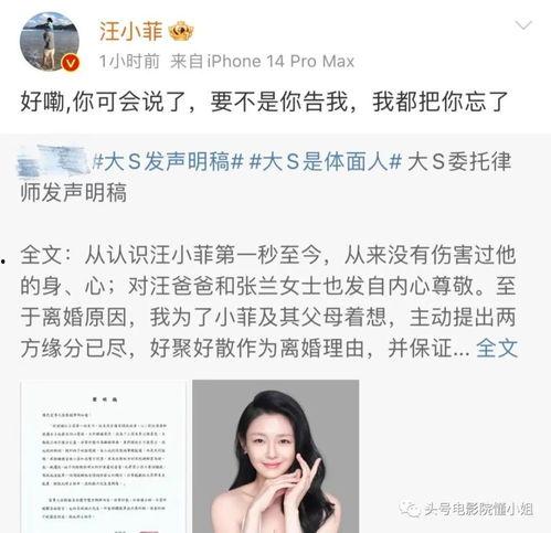 娱乐圈吃瓜汪小菲是谁,汪小菲风波背后的真相揭晓 第3张 娱乐圈吃瓜汪小菲是谁,汪小菲风波背后的真相揭晓 第3张