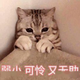 喵星娱乐吃瓜群众是谁啊,揭秘“吃瓜群众”背后的故事 第3张 喵星娱乐吃瓜群众是谁啊,揭秘“吃瓜群众”背后的故事 第3张