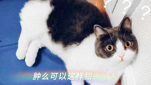 娱乐圈吃瓜四人cp,揭秘明星间的神秘互动与粉丝们的热烈追捧 第2张 娱乐圈吃瓜四人cp,揭秘明星间的神秘互动与粉丝们的热烈追捧 第2张