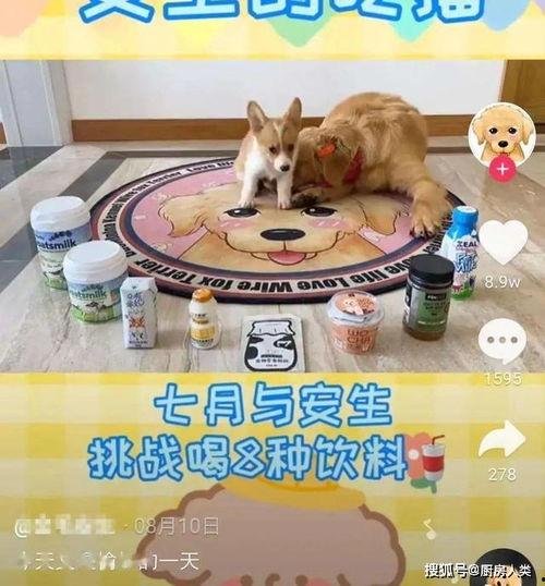 娱乐吃瓜酱外婆养大的羊羊视频,现实版外婆养大的女孩,温暖故事感动网友 第3张 娱乐吃瓜酱外婆养大的羊羊视频,现实版外婆养大的女孩,温暖故事感动网友 第3张