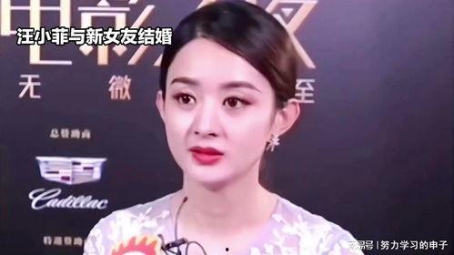 娱乐吃瓜八卦赵丽颖,娱乐圈的“话题女王”，情感纠葛与事业发展的双面人生