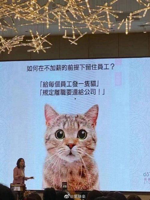 大懒猫娱乐八卦爆料吃瓜,娱乐圈最新八卦大揭秘! 第3张 大懒猫娱乐八卦爆料吃瓜,娱乐圈最新八卦大揭秘! 第3张