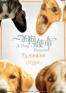 娱乐圈吃瓜小狗小说在线阅读,吃瓜小狗的甜蜜复仇之旅 第1张 娱乐圈吃瓜小狗小说在线阅读,吃瓜小狗的甜蜜复仇之旅 第1张
