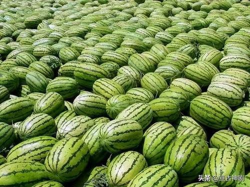 吃瓜娱乐圈素材哪里找,揭秘热门素材搜集秘籍 第3张 吃瓜娱乐圈素材哪里找,揭秘热门素材搜集秘籍 第3张