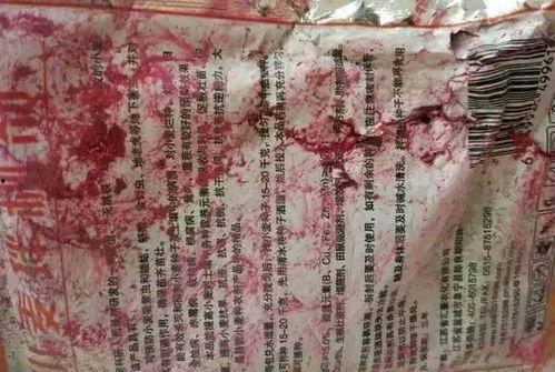 娱乐吃瓜酱连自己人也坑,坑人无数,连自己人也坑的“瓜王”传奇 第3张 娱乐吃瓜酱连自己人也坑,坑人无数,连自己人也坑的“瓜王”传奇 第3张