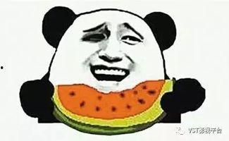 娱乐圈吃瓜爽文沙雕动画,沙雕动画背后的吃瓜盛宴 第3张 娱乐圈吃瓜爽文沙雕动画,沙雕动画背后的吃瓜盛宴 第3张
