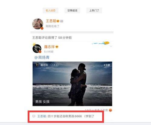 娱乐吃瓜开场白怎么说,揭秘明星幕后故事，吃瓜群众狂欢时刻  第2张