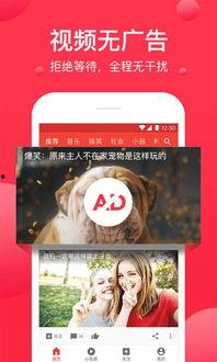 娱乐吃瓜配音视频素材下载,素材下载背后的故事  第2张