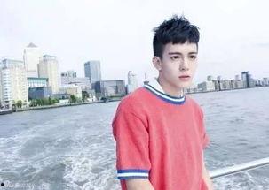 吃瓜娱乐圈沈月陈哲远,娱乐圈的甜蜜瓜果  第2张