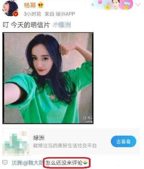 吃瓜八卦娱乐圈杨幂,瓜田李下，揭秘明星背后的故事  第2张