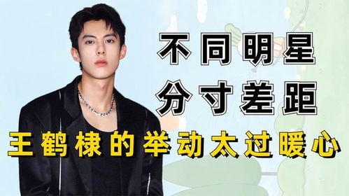 娱乐圈吃瓜王鹤棣微博,吃瓜群众纷纷围观  第3张