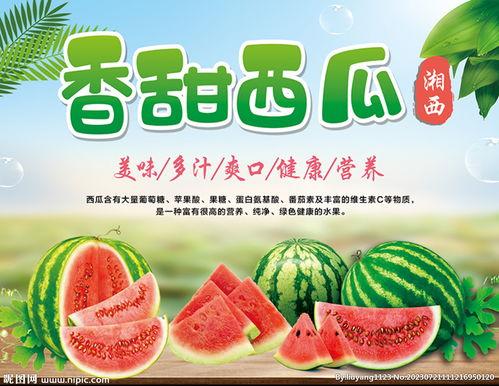 吃瓜娱乐封面设计图片大全,盘点潮流视觉盛宴  第2张