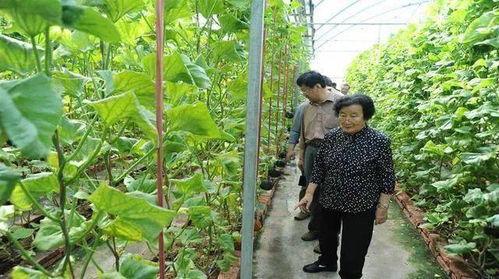 娱乐吃瓜蜀黍广告语是什么,揭秘娱乐圈那些事儿  第3张