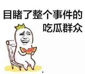 娱乐吃瓜酱谈恋爱不犯贱