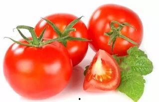 穿书去娱乐圈吃瓜番茄,番茄在娱乐圈的瓜田漫步  第2张