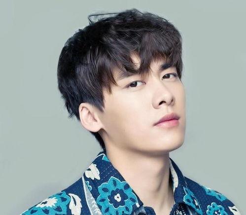 娱乐圈吃瓜文档李易峰,娱乐圈风云变幻中的璀璨明星 第2张 娱乐圈吃瓜文档李易峰,娱乐圈风云变幻中的璀璨明星 第2张