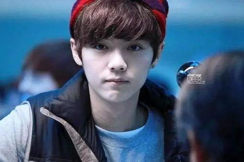 娱乐圈吃瓜高伟光微博,娱乐圈风云再起  第3张