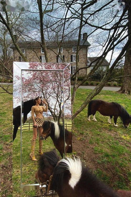 喂驴打一嘴巴子吃瓜娱乐,一场意外的网络狂欢  第3张