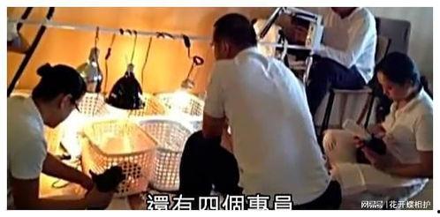 吃瓜娱乐圈录播是真的吗,吃瓜群众热议录播事件 第2张 吃瓜娱乐圈录播是真的吗,吃瓜群众热议录播事件 第2张