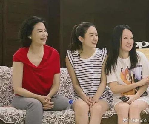 娱乐圈吃瓜博主女阿姨,揭秘娱乐圈背后的那些事儿  第1张