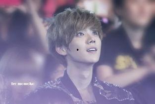 吃瓜娱乐圈鹿晗图片高清,娱乐圈瓜田里的清新风景  第3张